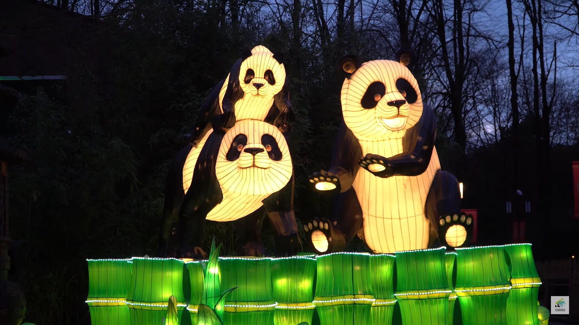 Kom naar de Light Nights in Ouwehands Dierenpark!