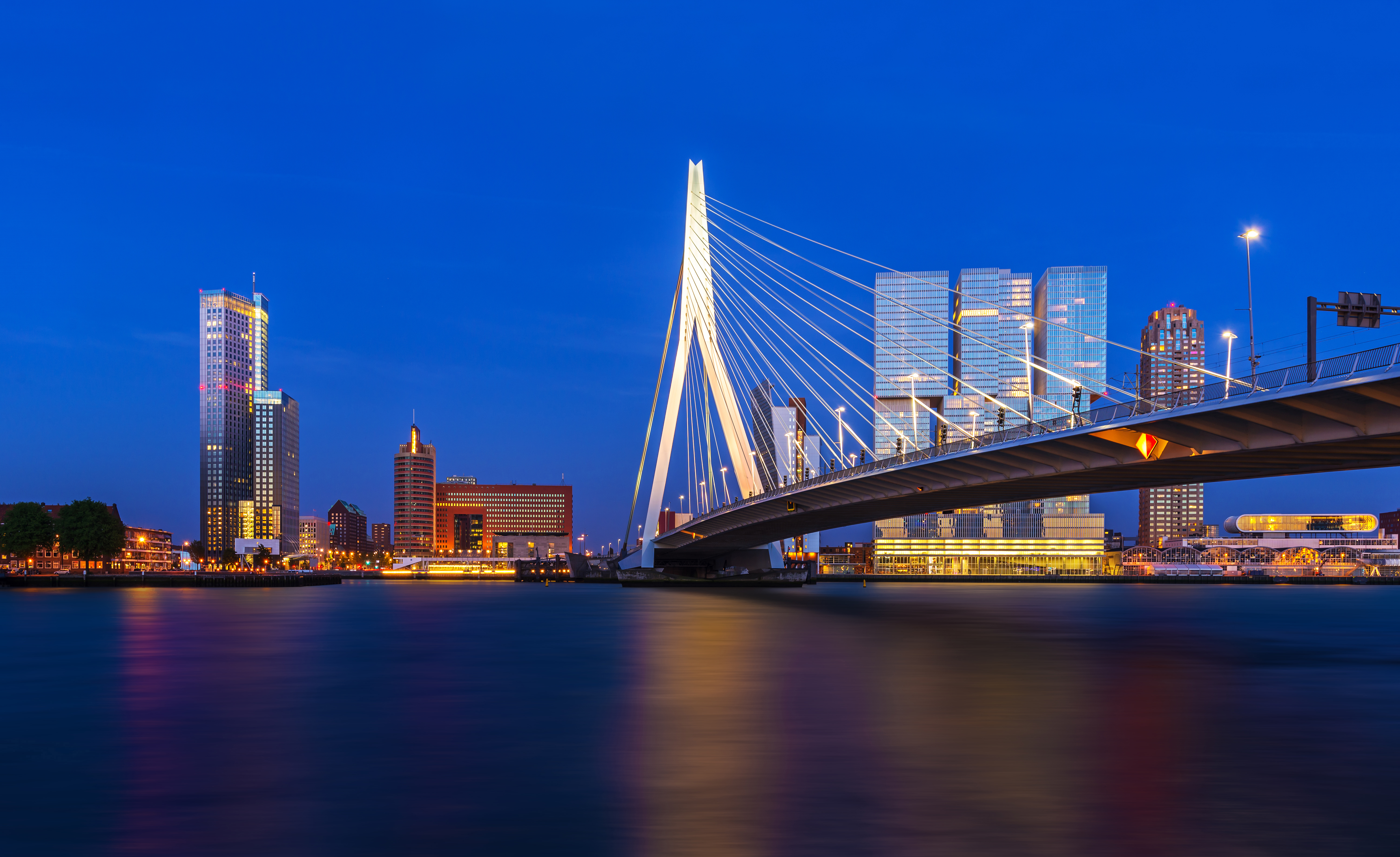 Ontdek Rotterdam met de leukste uitjes