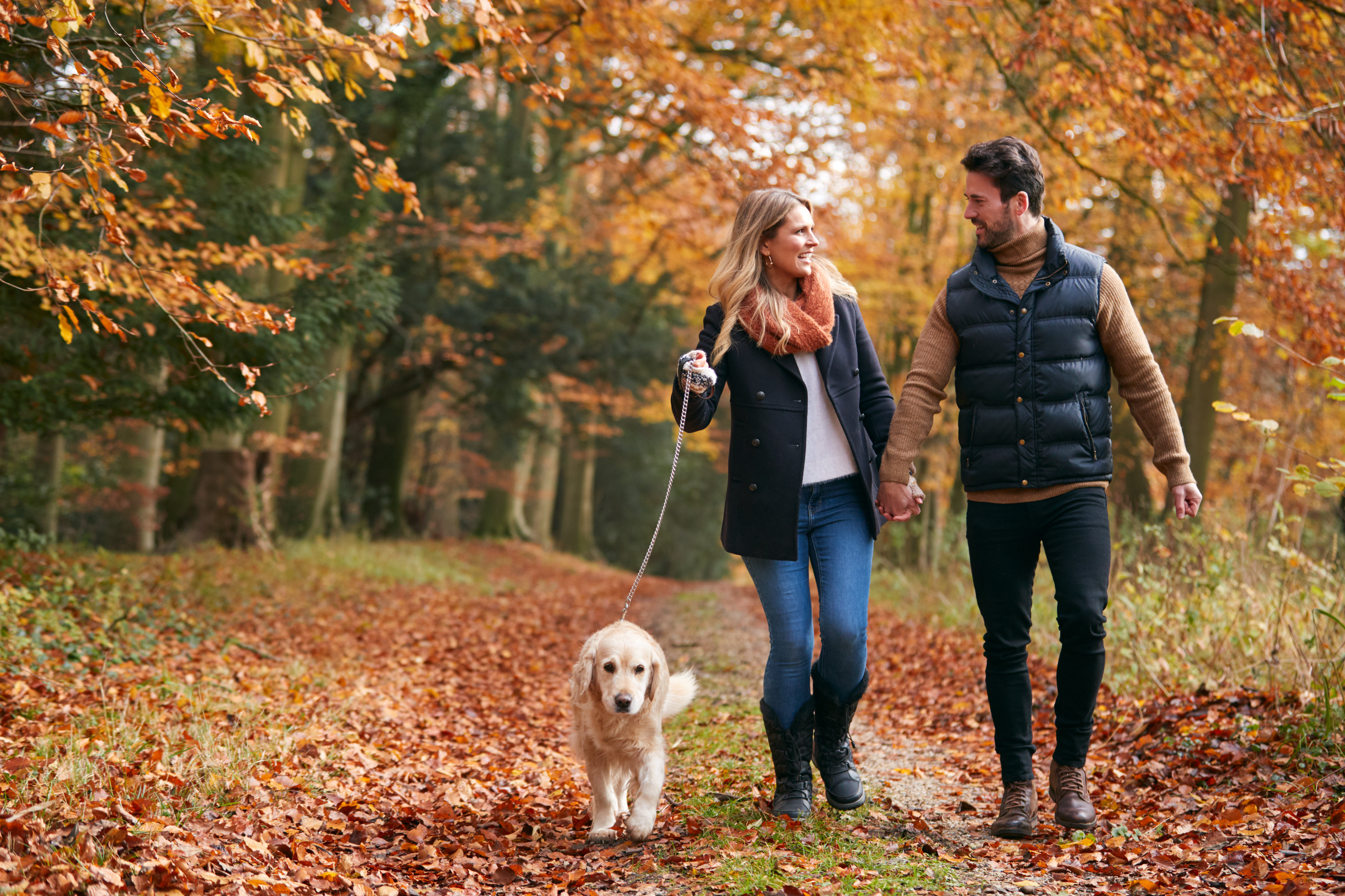 Trek dit najaar samen de natuur in