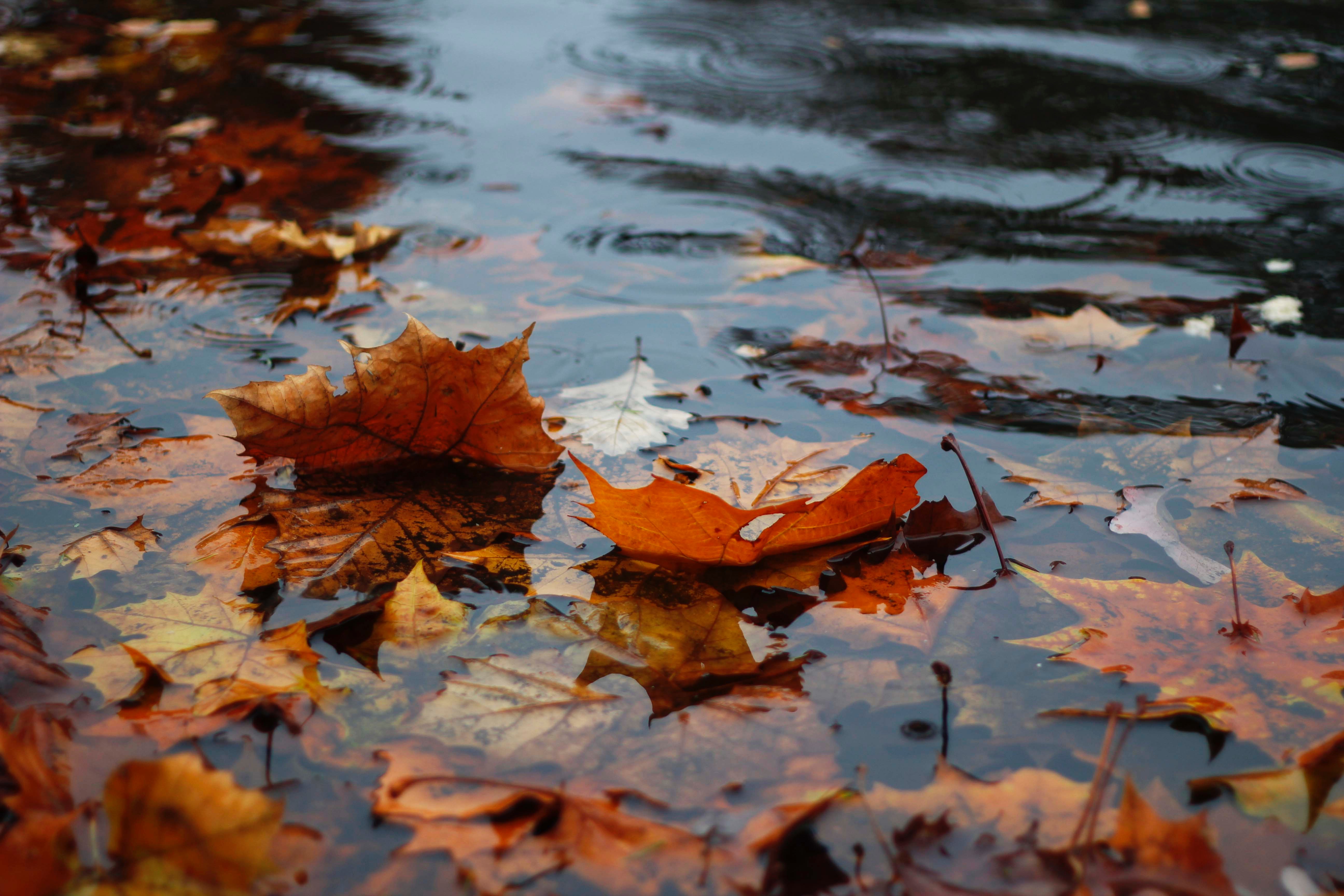5 x de leukste indoor uitjes voor de herfst
