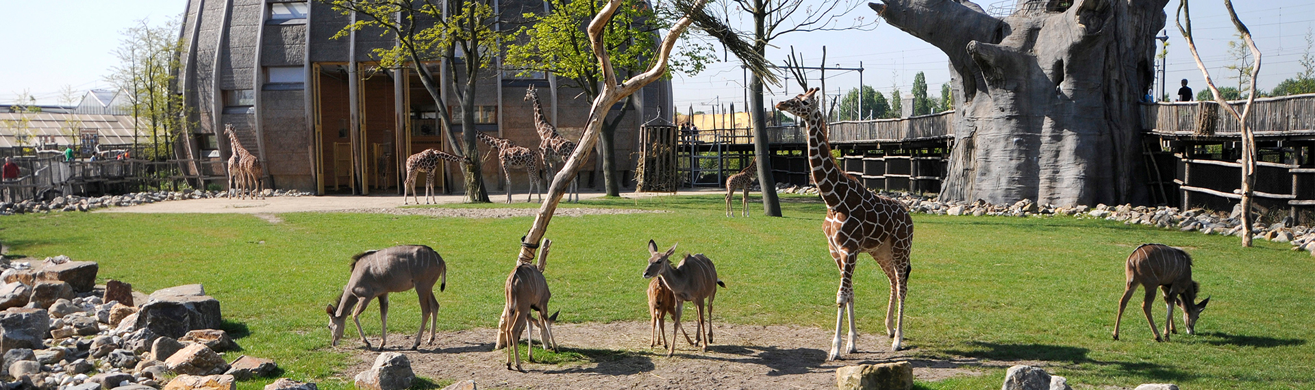 TV-programma Het Echte Leven in de Dierentuin is dit seizoen in Blijdorp