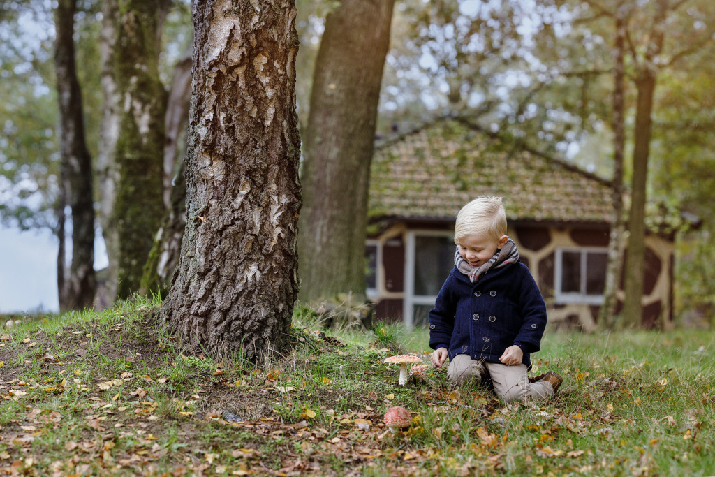 Ga er deze herfstvakantie op uit in regio Zuid