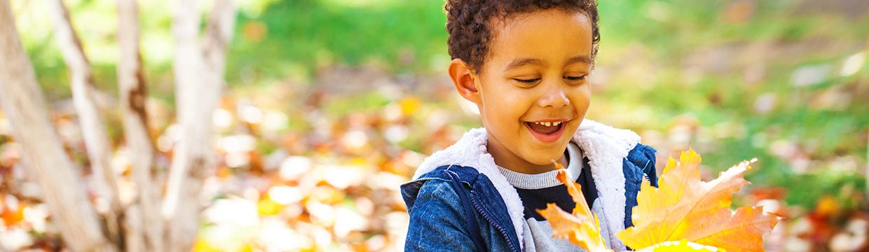 5 herfstvakantietips voor regio Midden Nederland