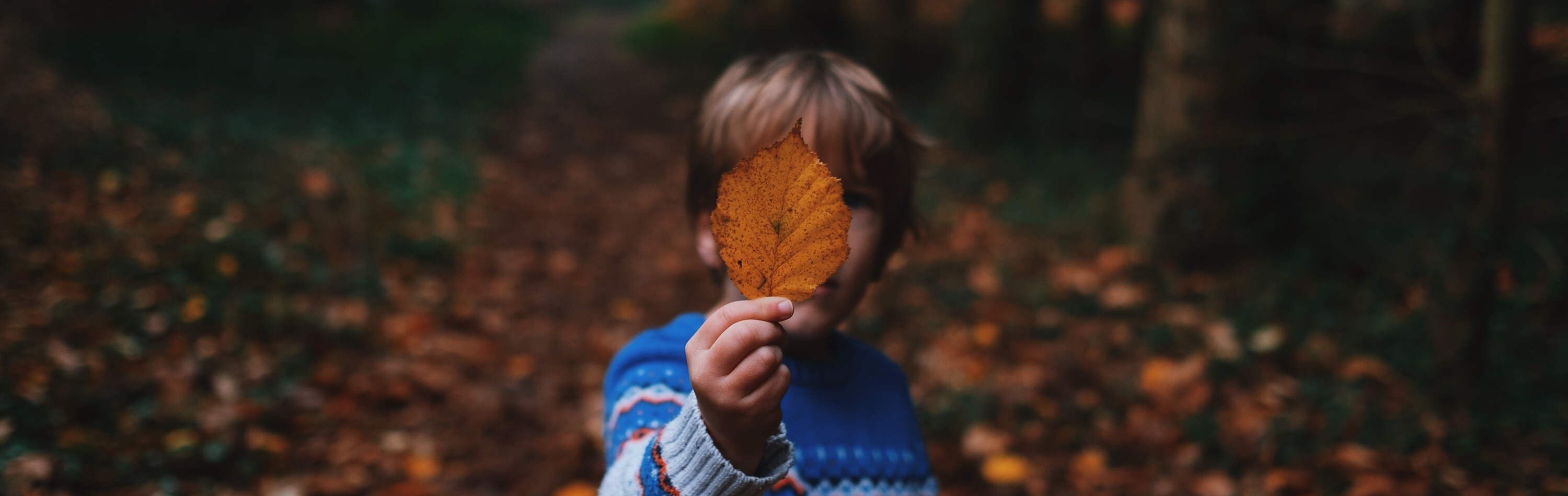 Dit zijn de leukste uitjes voor de herfstvakantie in 2023